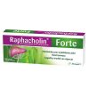 Raphacholin forte 250 mg, 10 tabletek powlekanych